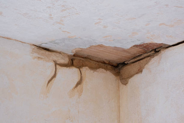 Best Ceiling water damage repair  in Feasterville, PA