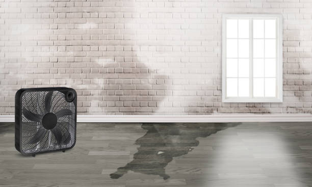 Best Water damage restoration insurance claims  in Feasterville, PA