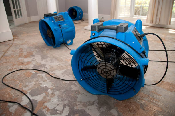 Best Ceiling water damage repair  in Feasterville, PA