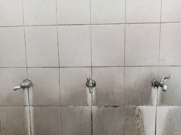 Best Mold removal after water damage  in Feasterville, PA