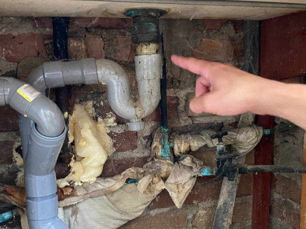 Best Sewage cleanup and water damage restoration  in Feasterville, PA